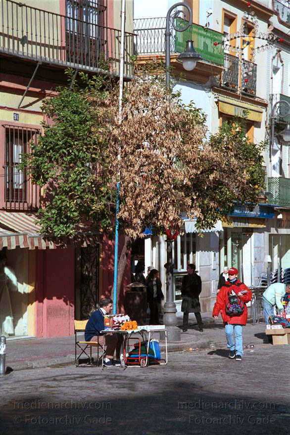 Spanien. Andalusien. Sevilla
November 2000. Spanien. Andalusien. Sevilla.
Schlüsselwörter: Andalusien;Sevilla;Spain;2000;Spanien