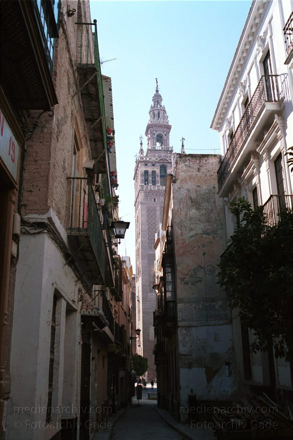 Spanien. Andalusien. Sevilla
November 2000. Spanien. Andalusien. Sevilla.
Schlüsselwörter: Andalusien;Sevilla;Spain;2000;Spanien