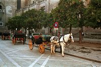 Spanien-Andalusien-Sevilla-200011-43.jpg