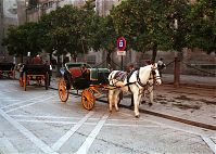 Spanien-Andalusien-Sevilla-200011-44.jpg