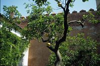Spanien-Andalusien-Sevilla-Alcazar-199703-27.jpg