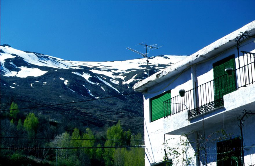 Spanien. Andalusien. Trevelez. Weisses Dorf
Spanien, 1997, Alpujarras, Trevelez (1476 m) gehört zu den weißen Dörfern in den Alpujarras.
Schlüsselwörter: Alpujarras;Andalusien;Spain;Spanien;1997;Trevelez