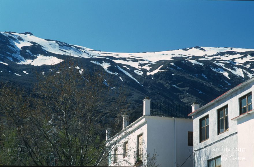 Spanien. Andalusien. Trevelez. Weisses Dorf
März 1997. Spanien. Andalusien. Trevelez. Weisses Dorf in den Alpujarras.  - Spain. Andalusia. - España Andalucía. Las Alpujarras. Trevélez es un municipio español de la provincia de Granada
Schlüsselwörter: Alpujarra;Andalucía;Andalusia;Andalusien;Dorf;España;Sevilla;Spain;Spanien;Trevelez;1997;Weisses