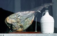 Spanien-Andalusien-Alpujarras-Trevelez-199703-04.jpg