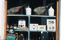 Spanien-Andalusien-Alpujarras-Trevelez-199703-539.jpg