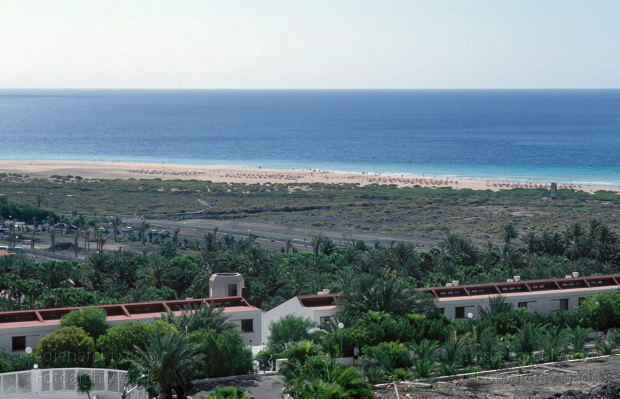 Fuerteventura. Jandia Playa. Hotel Stella Canaris
1995. Spanien. Kanarische Inseln. Fuerteventura. Jandia Playa. Hotel Stella Canaris (Heute: Stella Dunas Jandía Resort)
Schlüsselwörter: Canary Islands;Espana;Fuerteventura;Islas Canarias;Jandia Playa;Kanarische Inseln;Spain;Spanien;1995;Stella Canaris
