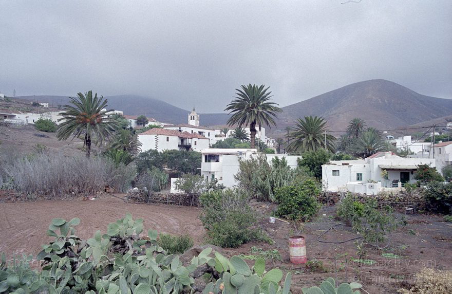 Fuerteventura. Kanarische Inseln. Spanien.
November 2001. Spanien. Kanarische Inseln. Fuerteventura. Spain. Canary Islands. Espana. Islas Canarias.
Schlüsselwörter: Canary Islands;Fuerteventura;Islas Canarias;Kanarische Inseln;2001;Spanien