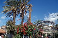 Spanien-Kanarische-Fuerteventura-199504-054.jpg