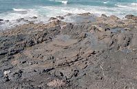Spanien-Kanarische-Fuerteventura-200111-028.jpg