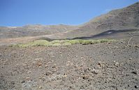 Spanien-Kanarische-Fuerteventura-200111-235.jpg
