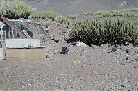 Spanien-Kanarische-Fuerteventura-200111-241.jpg