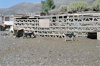 Spanien-Kanarische-Fuerteventura-200111-242.jpg