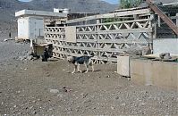 Spanien-Kanarische-Fuerteventura-200111-244.jpg