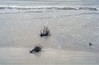 Spanien-Kanarische-Fuerteventura-200111-291.jpg