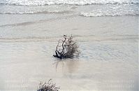 Spanien-Kanarische-Fuerteventura-200111-292.jpg