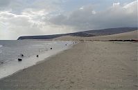 Spanien-Kanarische-Fuerteventura-200111-293.jpg