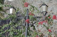 Spanien-Kanarische-Fuerteventura-200111-364.jpg