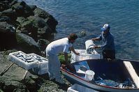 Spanien-Kanarische-Fuerteventura-Morro-199504-257.jpg