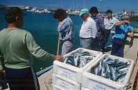 Spanien-Kanarische-Fuerteventura-Morro-199504-261.jpg