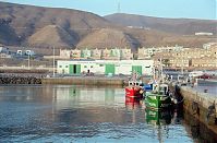 Spanien-Kanarische-Fuerteventura-Morro200111-280.jpg