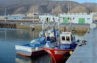 Spanien-Kanarische-Fuerteventura-Morro200111-282.jpg