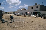 Spanien-Kanarische-Fuerteventura-Puerto-199504-145.jpg