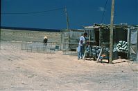 Spanien-Kanarische-Fuerteventura-Puerto-199504-155.jpg