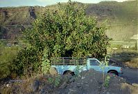 Spanien-Kanarische-La-Palma-199003-121.jpg