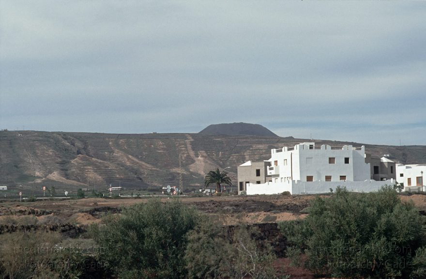 Lanzarote. Arrieta.
November 1994. Spanien. Kanarische Inseln. Lanzarote. Arrieta - Spain. Canary Islands
Schlüsselwörter: 1994;Arrieta;canarias;Canary Islands;Kanarische Inseln;Lanzarote;Spain;Spanien