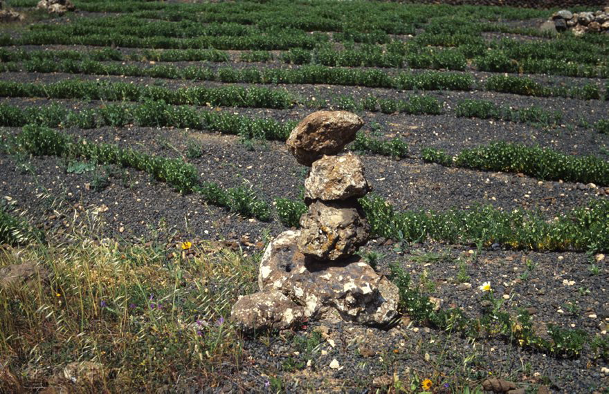 Lanzarote. Feldgrenzmarkierung. Aufgeschichtete Steine
1992. Spanien. Kanarische Inseln. Lanzarote. Feldgrenzmarkierung. Aufgeschichtete Steine
Schlüsselwörter: 1992;Canary Islands;Espana;Islas Canarias;Kanarische Inseln;Lanzarote;Spain;Spanien