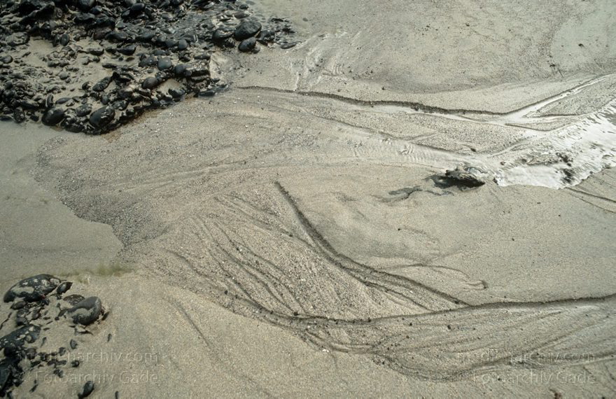 199x.  Lanzarote. Wasserpuren am Strand. Meer
199x. Spanien. Kanarische Inseln. Lanzarote. Wasserpuren am Strand. Meer
Schlüsselwörter: 199x;canarias;Canary Islands;Kanarische Inseln;Lanzarote;Meer;Spain;Spanien;Strand