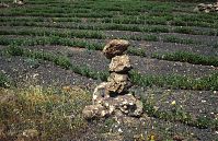 Spanien-Kanarische-Lanzarote-1992-10.jpg