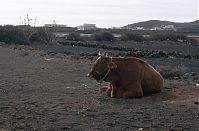 Spanien-Kanarische-Lanzarote-199511-505.jpg