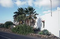 Spanien-Kanarische-Lanzarote-199612-030.jpg