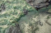 Spanien-Kanarische-Lanzarote-Div-199x-364.jpg