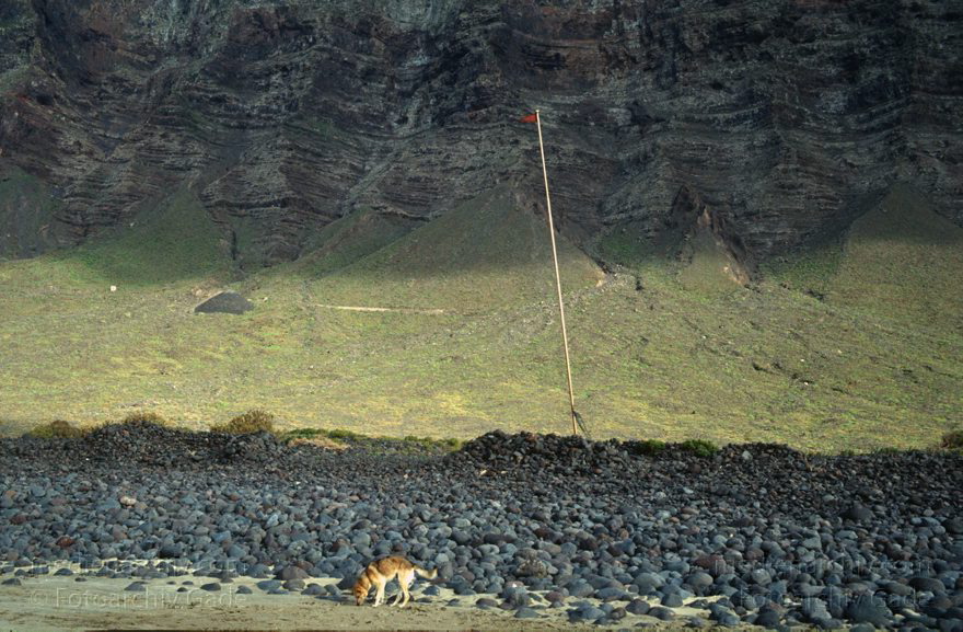 Lanzarote. Famara
März 1993. Spanien. Kanarische Inseln. Lanzarote. Famara. Berge. Strand. Hund. Mast
Schlüsselwörter: 1993;Canary Islands;Espana;Famara;Hund;Islas Canarias;Kanarische Inseln;Lanzarote;Spain;Spanien;Strand