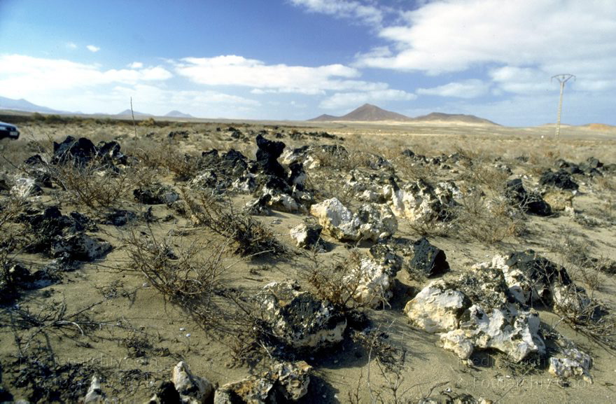 Lanzarote. Famara.
April 1995. Spanien. Kanarische Inseln. Lanzarote. Famara. Küste. Meer. Atlantik
Schlüsselwörter: 1995;Atlantik;Canary Islands;Espana;Famara;Islas Canarias;Kanarische Inseln;Küste;Lanzarote;Meer;Spain;Spanien