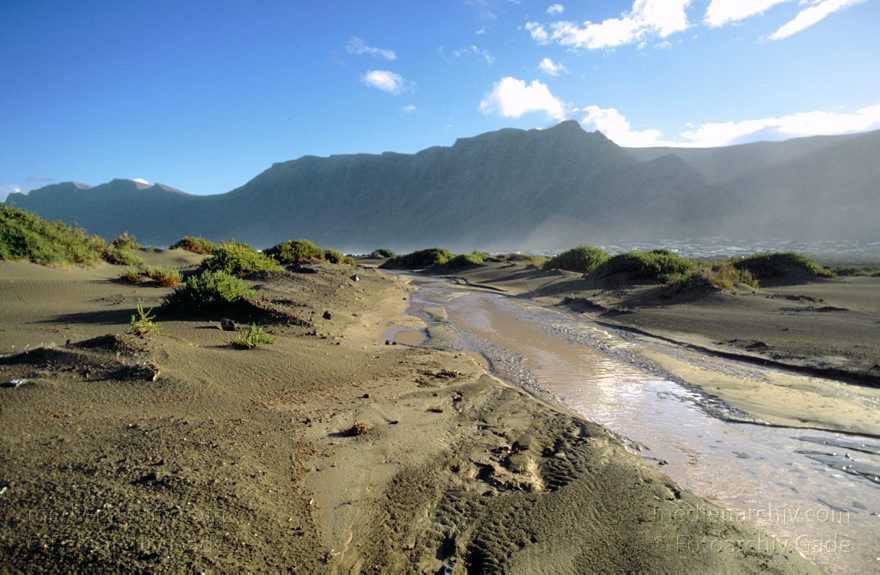 Lanzarote. Famara. Bei La Caleta nach einem heftigen Regenguß
November 1995. Spanien. Kanarische Inseln. Lanzarote. Famara. Bei La Caleta nach einem heftigen Regenguß. Im Sand haben sich Bäche entwickelt, die nur kurze Zeit Wasser führen.
Schlüsselwörter: 1995;Canary Islands;Espana;Famara;Islas Canarias;Kanarische Inseln;Lanzarote;Regen;Spain;Spanien