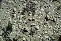 Dateiname=Spanien-Kanarische-Lanzarote-Famara-1992-014.jpg
Dateigröße=407KB
Abmessungen: 880x588
hinzugefügt am: 05. Januar 2016 Spanien-Kanarische-Lanzarote-Famara-1992-014.jpg