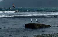 Dateiname=Spanien-Kanarische-Lanzarote-Famara-199311-101.jpg
Dateigröße=192KB
Abmessungen: 880x570
hinzugefügt am: 05. Januar 2016 Spanien-Kanarische-Lanzarote-Famara-199311-101.jpg