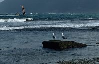 Spanien-Kanarische-Lanzarote-Famara-199311-101.jpg