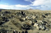 Dateiname=Spanien-Kanarische-Lanzarote-Famara-199504-290.jpg
Dateigröße=283KB
Abmessungen: 880x577
hinzugefügt am: 05. Januar 2016 Spanien-Kanarische-Lanzarote-Famara-199504-290.jpg