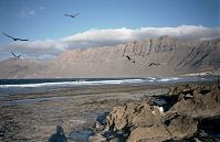 Dateiname=Spanien-Kanarische-Lanzarote-Famara-199612-129.jpg
Dateigröße=196KB
Abmessungen: 880x569
hinzugefügt am: 05. Januar 2016 Spanien-Kanarische-Lanzarote-Famara-199612-129.jpg