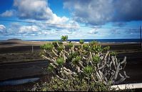 Spanien-Kanarische-Lanzarote-Famara-199612-46.jpg