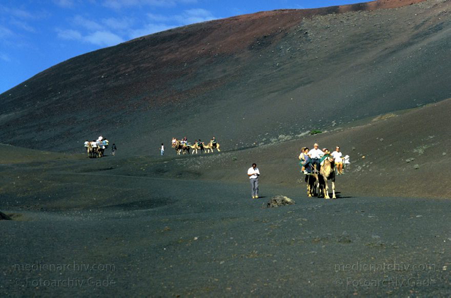Lanzarote. Feuerberge. Einige Bereiche der Montanas del Fuego sind nur mit Dromedarkarawanen zugänglich.
März 1993. Lanzarote. Kanarische Inseln. Spanien. Feuerberge - Nationalpark Timanfaya. Vulkane. Lava.  Einige Bereiche der Montanas del Fuego sind nur mit Dromedarkarawanen zugänglich. Montañas del Fuego - Parque Nacional de Timanfaya - Spain. Canary Islands. Timanfaya National Park - Espana. Islas Canarias.
Schlüsselwörter: 1993;Canary Islands;Dromedare;Feuerberge;Islas Canarias;Kamel;Kamele;Kanarische Inseln;Lanzarote;Lava;Montañas del Fuego;Nationalpark Timanfaya;Parque Nacional de Timanfaya;Spain;Spanien;Vulkan;Vulkane