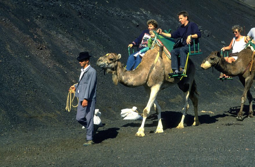 Lanzarote. Feuerberge. Einige Bereiche der Montanas del Fuego sind nur mit Dromedarkarawanen zugänglich.
März 1993. Lanzarote. Kanarische Inseln. Spanien. Feuerberge - Nationalpark Timanfaya. Vulkane. Lava.  Einige Bereiche der Montanas del Fuego sind nur mit Dromedarkarawanen zugänglich. Montañas del Fuego - Parque Nacional de Timanfaya - Spain. Canary Islands. Timanfaya National Park - Espana. Islas Canarias.
Schlüsselwörter: 1993;Canary Islands;Dromedare;Feuerberge;Islas Canarias;Kamel;Kamele;Kanarische Inseln;Lanzarote;Lava;Montañas del Fuego;Nationalpark Timanfaya;Parque Nacional de Timanfaya;Spain;Spanien;Vulkane