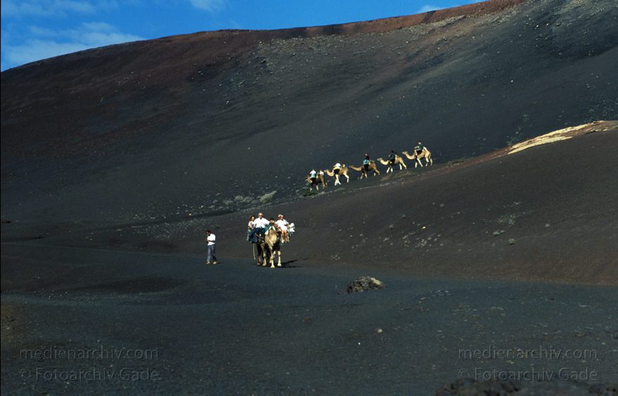 Lanzarote. Feuerberge. Einige Bereiche der Montanas del Fuego sind nur mit Dromedarkarawanen zugänglich.
März 1993. Lanzarote. Kanarische Inseln. Spanien. Feuerberge - Nationalpark Timanfaya. Vulkane. Lava.  Einige Bereiche der Montanas del Fuego sind nur mit Dromedarkarawanen zugänglich. Montañas del Fuego - Parque Nacional de Timanfaya - Spain. Canary Islands. Timanfaya National Park - Espana. Islas Canarias.
Schlüsselwörter: 1993;Canary Islands;Dromedare;Feuerberge;Islas Canarias;Kamele;Kanarische Inseln;Lanzarote;Lava;Montañas del Fuego;Nationalpark Timanfaya;Parque Nacional de Timanfaya;Spain;Spanien;Vulkane