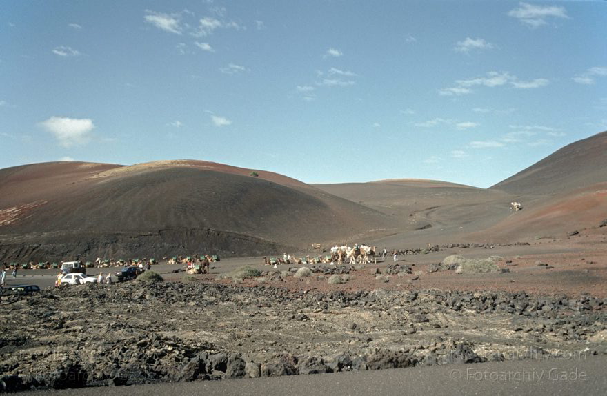 Lanzarote. Feuerberge. Nationalpark Timanfaya - Montañas del Fuego.
November 1993. Lanzarote. Kanarische Inseln. Spanien. Feuerberge - Nationalpark Timanfaya. Vulkane. Lava.   Montañas del Fuego - Parque Nacional de Timanfaya - Spain. Canary Islands. Timanfaya National Park - Espana. Islas Canarias.
Schlüsselwörter: 1993;Canary Islands;Feuerberge;Islas Canarias;Kanarische Inseln;Lanzarote;Lava;Montañas del Fuego;Nationalpark Timanfaya;Parque Nacional de Timanfaya;Spain;Spanien;Vulkane