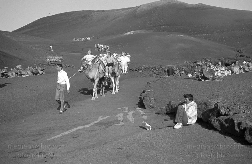Lanzarote. Feuerberge. Montanas del Fuego. Dromedarkarawane
November 1994. Lanzarote. Kanarische Inseln. Spanien. Feuerberge - Nationalpark Timanfaya. Vulkane. Lava.  Einige Bereiche der Montanas del Fuego sind nur mit Dromedarkarawanen zugänglich. Montañas del Fuego - Parque Nacional de Timanfaya - Spain. Canary Islands. Timanfaya National Park - Espana. Islas Canarias.
Schlüsselwörter: 1994;Canary Islands;Dromedare;Feuerberge;Islas Canarias;Kamele;Kanarische Inseln;Lanzarote;Lava;Montañas del Fuego;Nationalpark Timanfaya;Parque Nacional de Timanfaya;Spain;Spanien;Vulkane