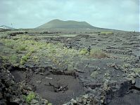Dateiname=Spanien-Kanarische-Lanzarote-Feuerberge-199203-115.jpg
Dateigröße=252KB
Abmessungen: 880x664
hinzugefügt am: 05. Januar 2016 Spanien-Kanarische-Lanzarote-Feuerberge-199203-115.jpg